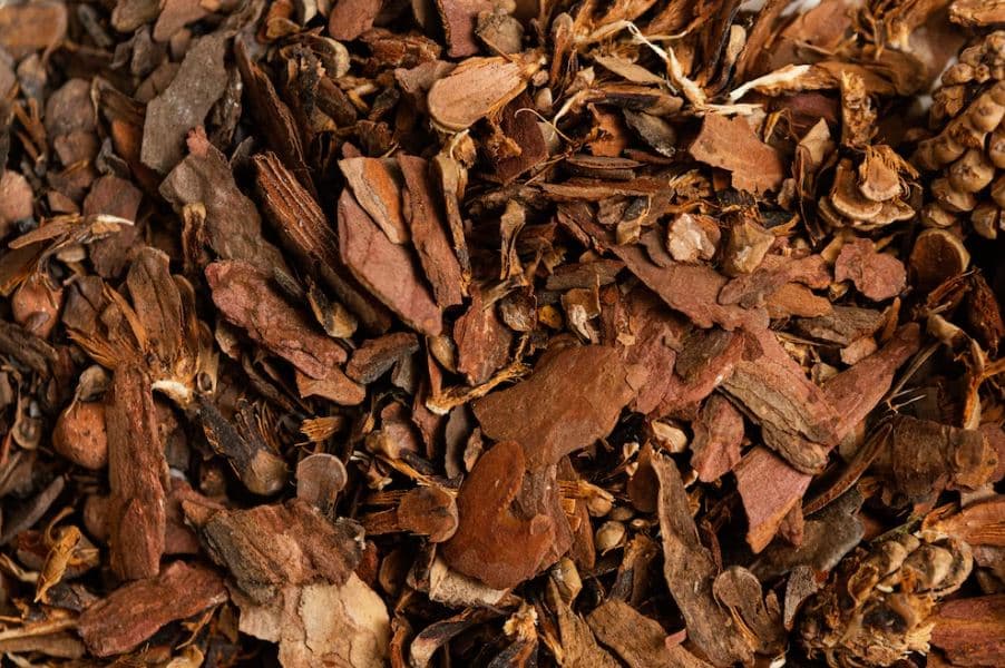 Revolutionizing Sustainability: Discovering New Ways to Reuse Tobacco