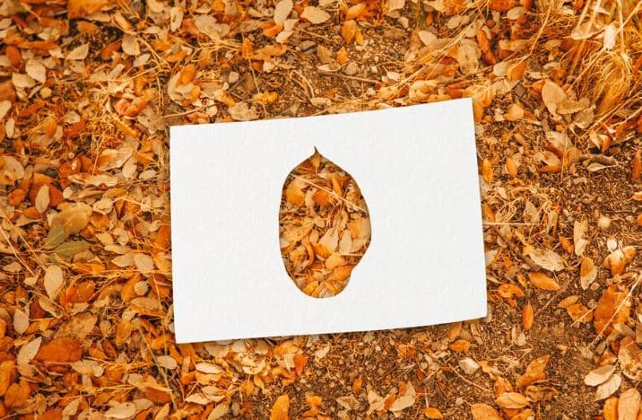 Complete Guide - Flue-Cured Virginia - FCV Tobacco