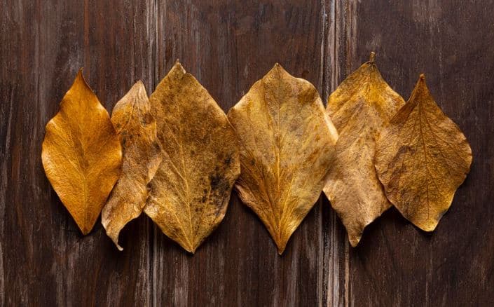 Best 10 Types of Tobacco & How to Purchase from Marson Group