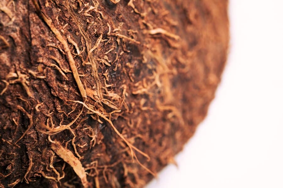 Explore the Best Online Tobacco Company: Free Shipping Included