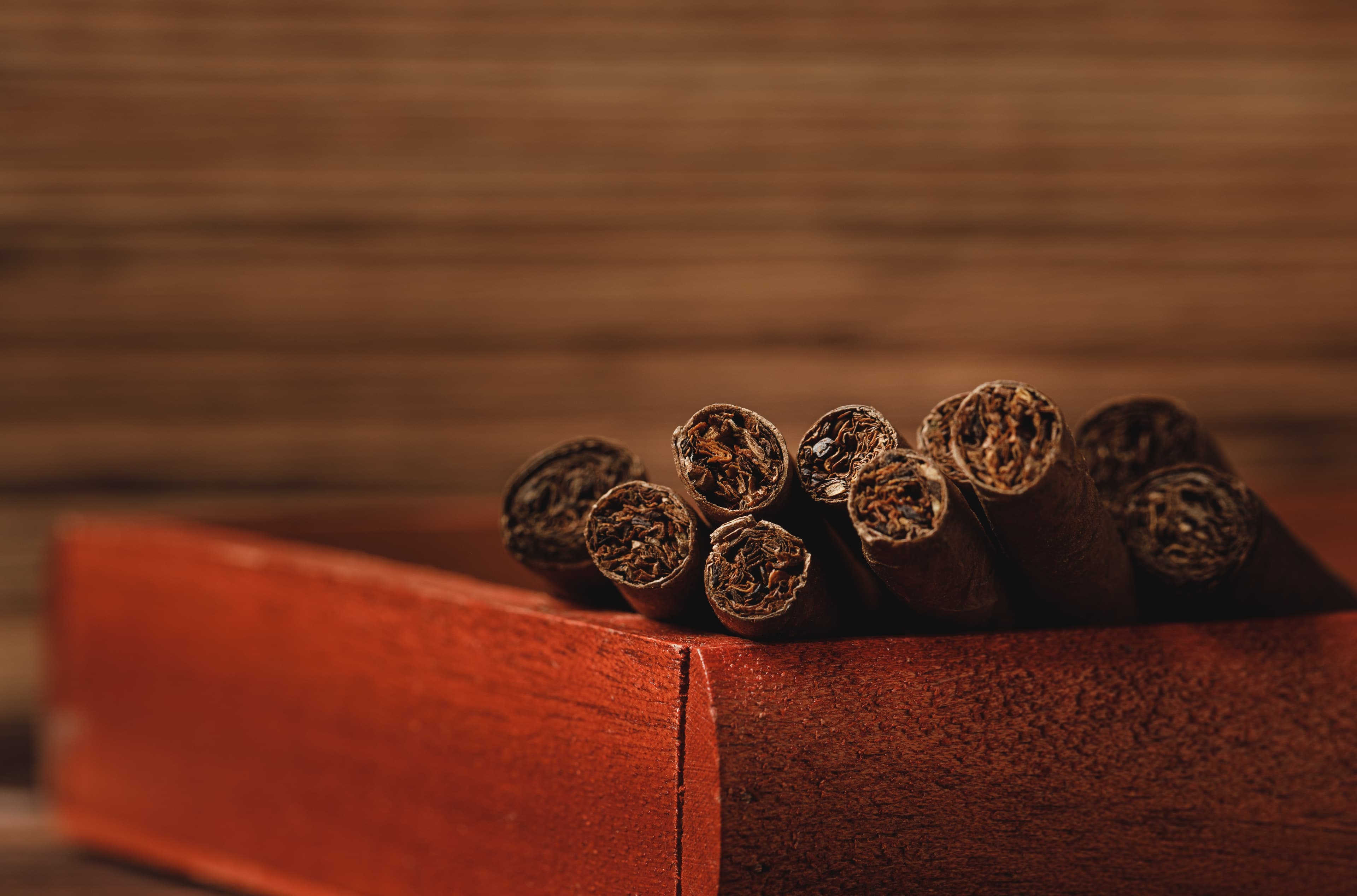 A Comprehensive Overview of the History of Tobacco