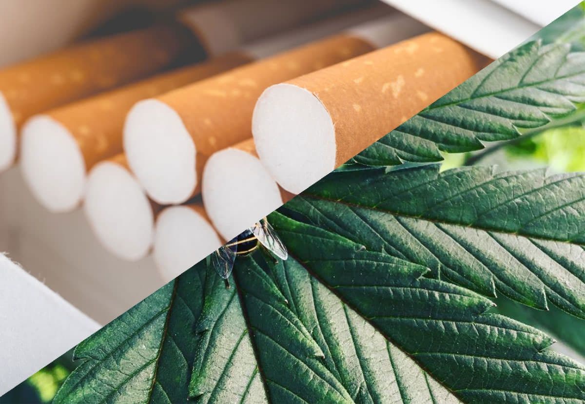 Cannabis Cigarette Machine: How It Works & Why You Need One