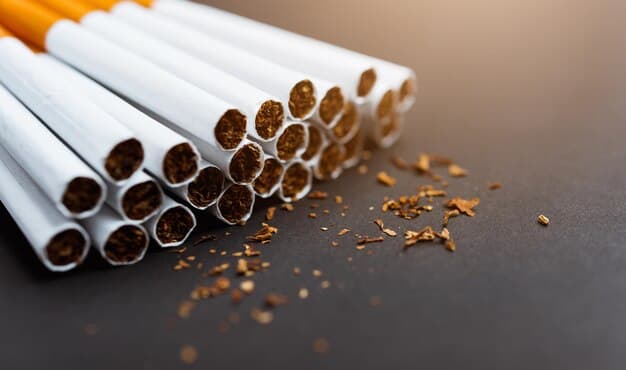 Why Training Matters: Building Skilled Teams for Safe and Compliant Tobacco-Processing Operations