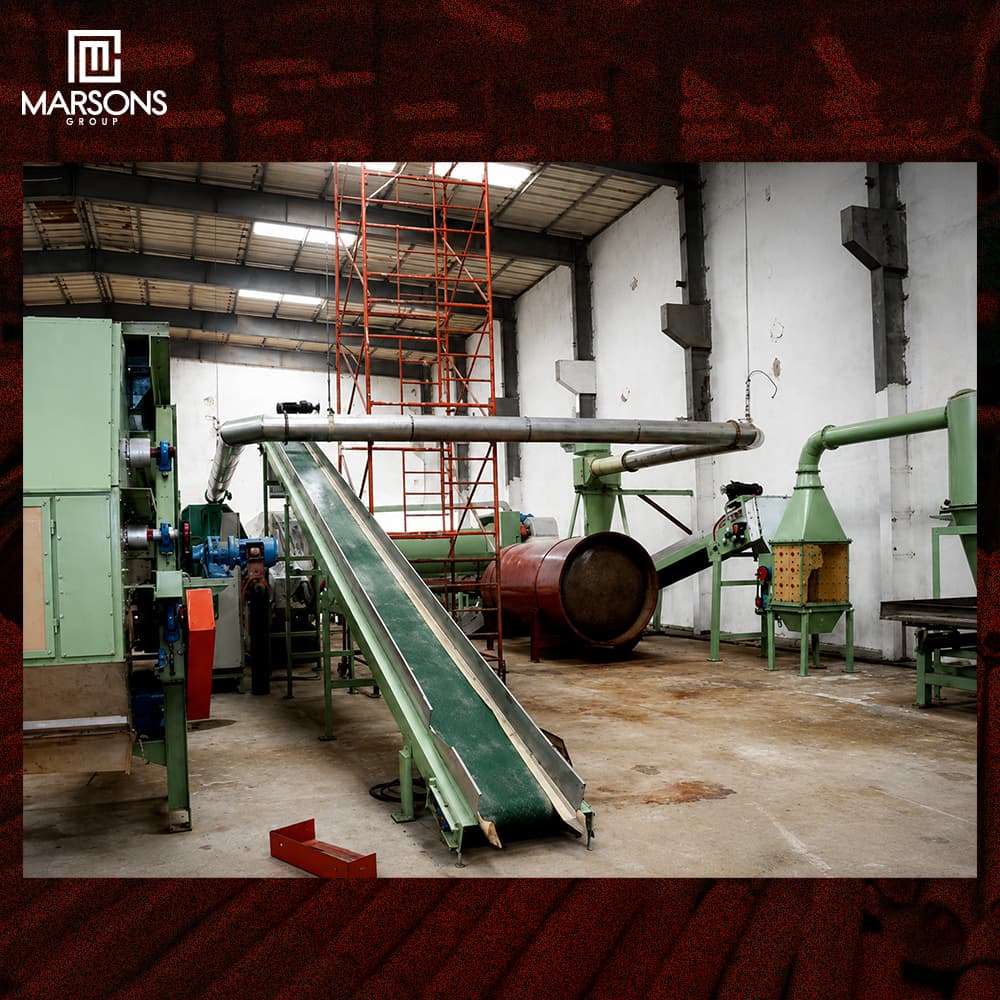 Tobacco Stem Expansion Plant